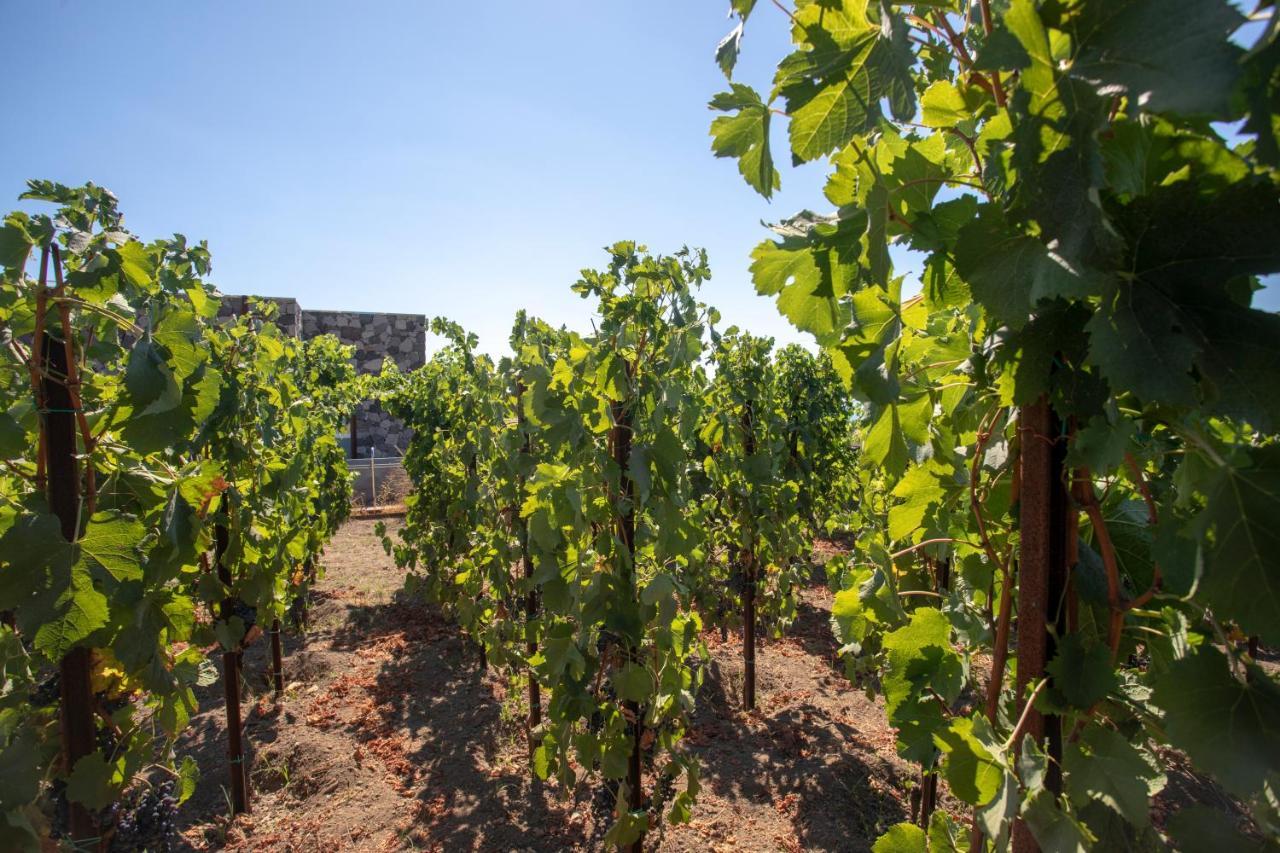 Castellaro Wine Resort Città di Lipari Esterno foto